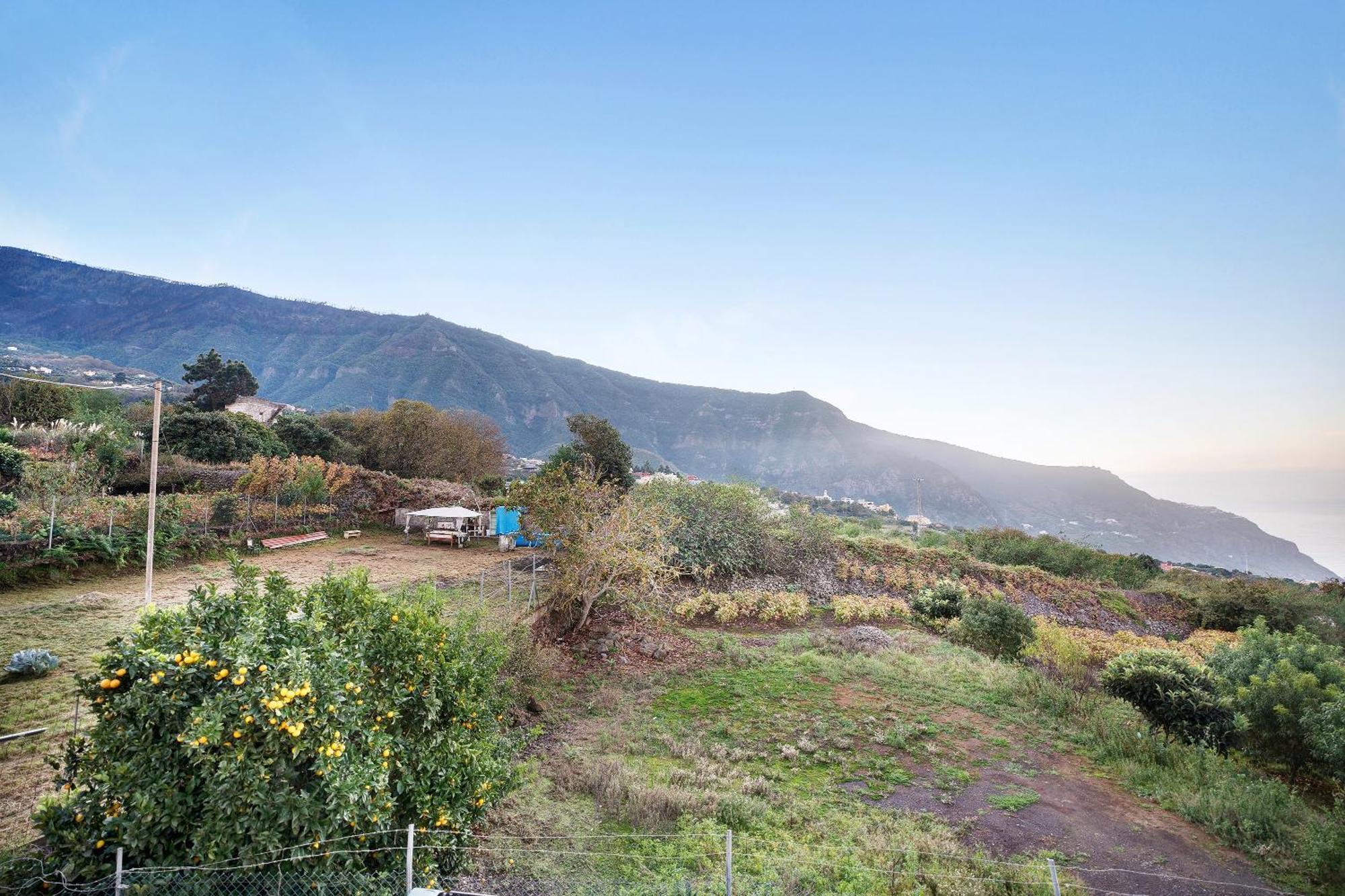 洛斯雷尔雷赫斯Casita Rural La Pinera别墅 外观 照片